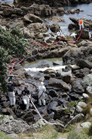 Rena Oil Spill Disaster, Tauranga, NZ