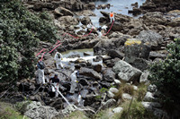 Rena Oil Spill Disaster, Tauranga, NZ