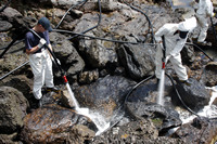 Rena Oil Spill Disaster, Tauranga, NZ
