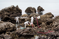 Rena Oil Spill Disaster, Tauranga, NZ