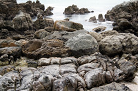 Rena Oil Spill Disaster, Tauranga, NZ