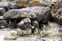 Rena Oil Spill Disaster, Tauranga, NZ