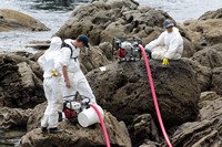 Rena Oil Spill Disaster, Tauranga, NZ