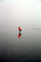 Rena Oil Spill Disaster, Tauranga, NZ