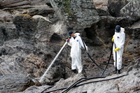 Rena Oil Spill Disaster, Tauranga, NZ