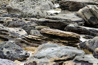 Rena Oil Spill Disaster, Tauranga, NZ