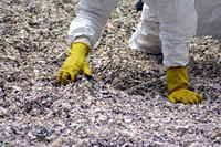 Rena Oil Spill Disaster, Tauranga, NZ