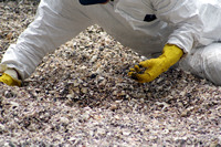 Rena Oil Spill Disaster, Tauranga, NZ