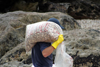 Rena Oil Spill Disaster, Tauranga, NZ