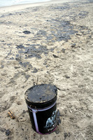 Rena Oil Spill Disaster, Tauranga, NZ