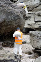 Rena Oil Spill Disaster, Tauranga, NZ
