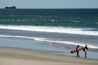Rena Oil Spill Disaster, Tauranga, NZ