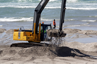 Rena Oil Spill Disaster, Tauranga, NZ