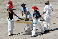 Rena Oil Spill Disaster, Tauranga, NZ
