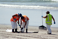 Rena Oil Spill Disaster, Tauranga, NZ
