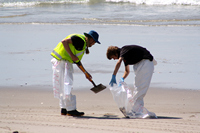 Rena Oil Spill Disaster, Tauranga, NZ