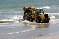 Rena Oil Spill Disaster, Tauranga, NZ