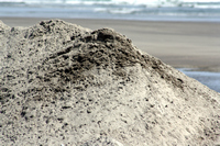Rena Oil Spill Disaster, Tauranga, NZ