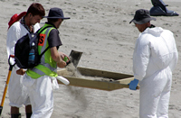 Rena Oil Spill Disaster, Tauranga, NZ