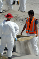 Rena Oil Spill Disaster, Tauranga, NZ