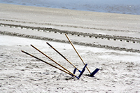 Rena Oil Spill Disaster, Tauranga, NZ