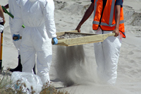 Rena Oil Spill Disaster, Tauranga, NZ