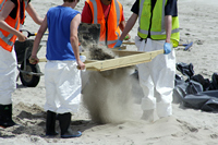Rena Oil Spill Disaster, Tauranga, NZ