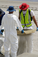Rena Oil Spill Disaster, Tauranga, NZ
