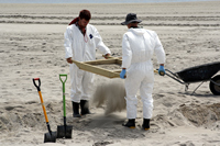 Rena Oil Spill Disaster, Tauranga, NZ