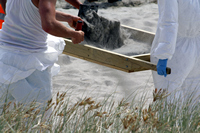 Rena Oil Spill Disaster, Tauranga, NZ