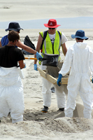 Rena Oil Spill Disaster, Tauranga, NZ