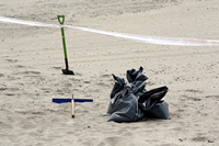 Rena Oil Spill Disaster, Tauranga, NZ