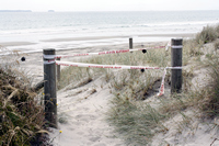 Rena Oil Spill Disaster, Tauranga, NZ