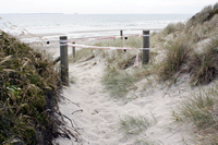 Rena Oil Spill Disaster, Tauranga, NZ