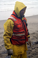 Rena Oil Spill Disaster, Tauranga, NZ