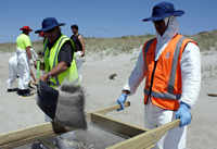 Rena Oil Spill Disaster, Tauranga, NZ