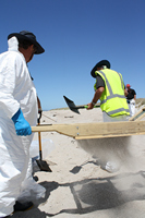Rena Oil Spill Disaster, Tauranga, NZ