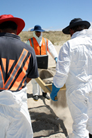 Rena Oil Spill Disaster, Tauranga, NZ