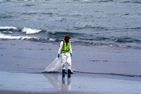 Rena Oil Spill Disaster, Tauranga, NZ