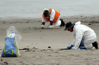 Rena Oil Spill Disaster, Tauranga, NZ