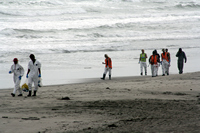 Rena Oil Spill Disaster, Tauranga, NZ