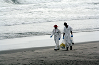 Rena Oil Spill Disaster, Tauranga, NZ