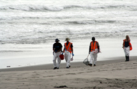 Rena Oil Spill Disaster, Tauranga, NZ
