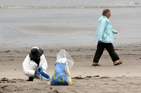 Rena Oil Spill Disaster, Tauranga, NZ