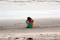 Rena Oil Spill Disaster, Tauranga, NZ