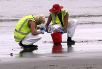 Rena Oil Spill Disaster, Tauranga, NZ