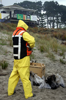 Rena Oil Spill Disaster, Tauranga, NZ