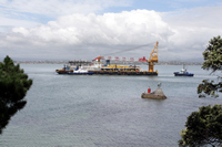 Rena Oil Spill Disaster, Tauranga, NZ