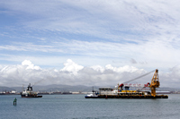 Rena Oil Spill Disaster, Tauranga, NZ
