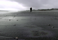 Rena Oil Spill Disaster, Tauranga, NZ